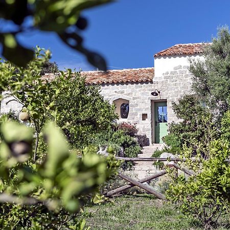 Gallicantu Stazzo Retreat Luogosanto Luaran gambar